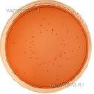 MacConkey Agar No.2