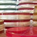 Tryptone Bile Agar